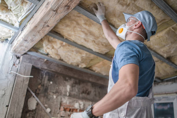 Best Residential Insulation in Crested Butte, CO